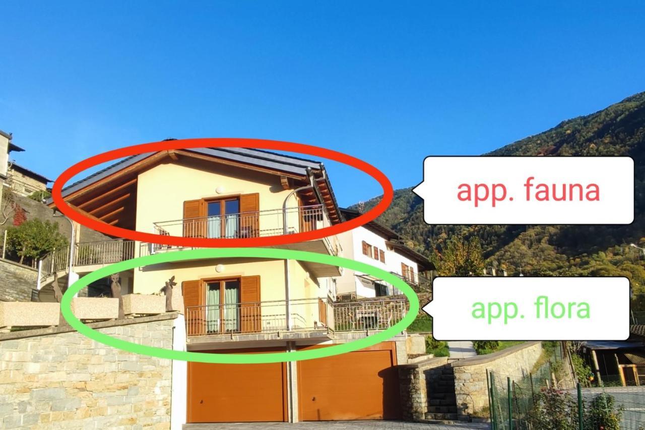 Pisolo Selvaggio Appartement Tirano Buitenkant foto