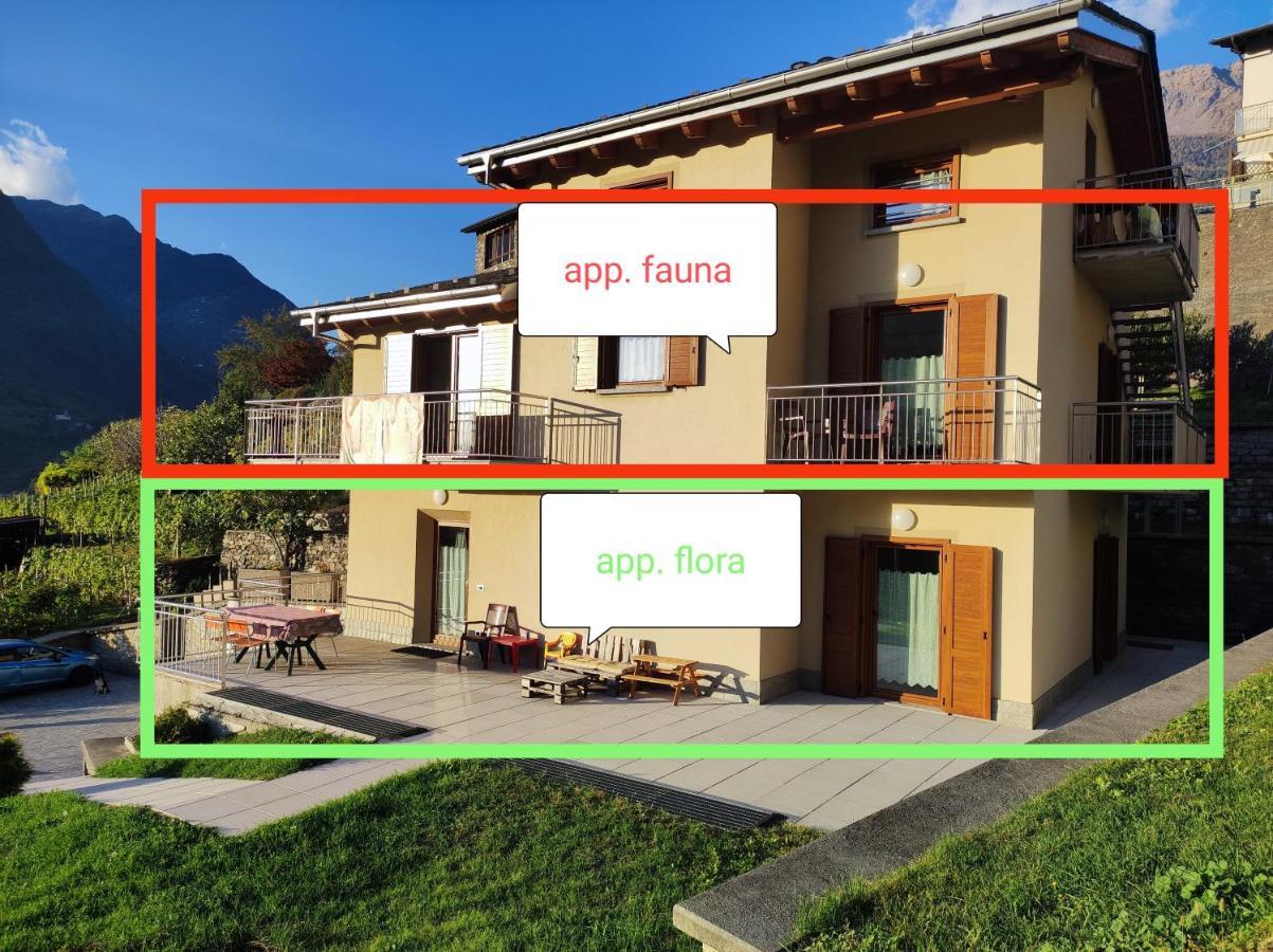 Pisolo Selvaggio Appartement Tirano Buitenkant foto